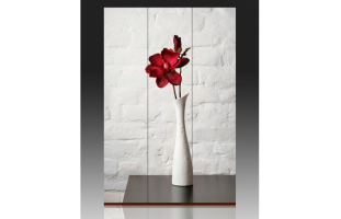 Ширма SH-032 "Красный цветок в белой вазе"